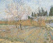 Vincent Van Gogh Orchard with Peach Trees in Blossom (nn04) china oil painting reproduction